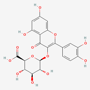 Quercetin-β-O-β-D-Glucuronide