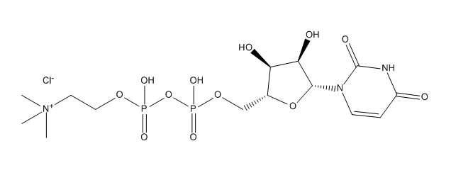 Uridine Diphosphate Choline (UDPC)