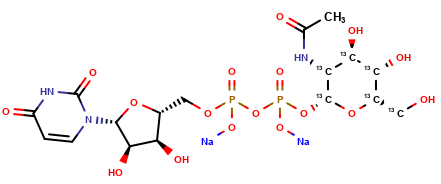 uridine diphosphate-α-N-acetyl-D-[UL-13C6]glucosamine (disodium salt)